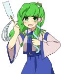  1girl :d bangs blue_skirt blush bright_pupils commentary_request detached_sleeves eyebrows_visible_through_hair frog_hair_ornament green_eyes green_hair grey_vest hair_ornament hand_up highres holding kochiya_sanae long_sleeves open_mouth sasa_kichi skirt smile solo standing touhou vest wing_collar 