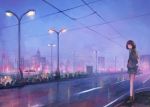  1girl :/ blurry car city clouds depth_of_field dusk fjsmu flower ground_vehicle hands_in_pockets highres hood hoodie lamppost looking_to_the_side motor_vehicle original power_lines purple_hair reflection road short_hair shorts sky skyline solo street violet_eyes 