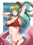  bikini breasts chiki fire_emblem fire_emblem:_kakusei fire_emblem:_mystery_of_the_emblem fire_emblem_heroes green_eyes green_hair highres long_hair looking_at_viewer mamkute mircoelisa pointy_ears ponytail summer swimsuit tiara 