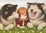  ;&lt; absurdres ahoge animal_ears bangs bent_elbow blush brown_eyes dog dog_ears eyebrows_visible_through_hair flower gayarou hair_between_eyes highres holding looking_at_viewer open_mouth original paws red_shirt redhead scan shirt siberian_husky sleeves_rolled_up smile tongue tongue_out white_background white_collar yellow_neckwear 