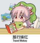  1girl book bow chibi chinese commentary_request english eyebrows_visible_through_hair frog fujiwara_no_mokou green_hat hair_bow hat holding holding_book indoors lowres photo_(object) puffy_short_sleeves puffy_sleeves reading red_eyes shangguan_feiying shirt short_sleeves solo tabikaeru touhou white_bow white_hair white_shirt 