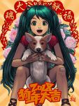  1girl 2018 animal bandaid bandaid_on_knee chinese_new_year commentary facing_viewer floral_background green_eyes green_hair happy hatsune_miku highres holding holding_animal long_hair open_mouth raglan_sleeves ryu_shou shirt shorts t-shirt very_long_hair vocaloid welsh_corgi year_of_the_dog 