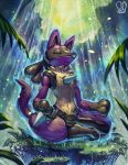  alternate_color animal_ears closed_eyes full_body highres lucario meditation no_humans outdoors pokemon pokemon_(creature) purple sa-dui sitting solo tail water waterfall 