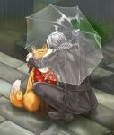  animal animal_ears bad_id bib fox hug narukami_yuu persona persona_4 rain seta_souji tail umbrella 