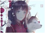  1girl animal animal_ears bangs brown_hair chinese_new_year closed_mouth commentary_request dog dog_ears echosdoodle flower grey_eyes lantern looking_at_viewer new_year original outdoors paper_lantern red_shirt shirt smile solo white_flower winter 