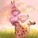  1girl 2804281484 :o animal_ears bare_shoulders belt bow bowtie clouds commentary elbow_gloves evening extra_ears eyebrows_visible_through_hair eyes_visible_through_hair gloves grass high-waist_skirt highres kemono_friends looking_at_viewer orange_eyes outdoors print_gloves print_neckwear print_skirt serval_(kemono_friends) serval_ears serval_print serval_tail shirt skirt sleeveless sleeveless_shirt solo tail white_shirt 