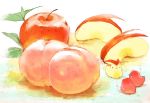  apple bird chai chicken food fruit highres no_humans original peach traditional_media 