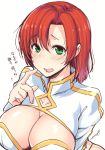  1girl boudica_(fate/grand_order) breasts cleavage fate/grand_order fate_(series) fue_(rhomphair) green_eyes highres juliet_sleeves large_breasts long_sleeves puffy_sleeves redhead revealing_clothes short_hair upper_body 