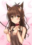  1girl animal_ears blush brown_hair brown_shirt cat_ears collar collarbone eyebrows_visible_through_hair hair_between_eyes hair_ornament hidaka_toworu long_hair looking_at_viewer shiny shiny_skin shirt short_ponytail sleeveless sleeveless_shirt solo to_love-ru upper_body yellow_eyes yuuki_mikan 