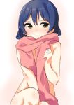  1girl arm_between_legs bangs blue_hair blush convenient_censoring eyebrows_visible_through_hair hair_between_eyes long_hair looking_at_viewer love_live! love_live!_school_idol_project naked_scarf nude scarf simple_background sitting solo sonoda_umi tofu1601 yellow_eyes 