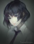  1girl bangs black_eyes black_hair black_neckwear closed_mouth collared_shirt colored_eyelashes commentary highres looking_at_viewer necktie original pale_skin portrait shirt short_hair solo upper_body watermark web_address wenqing_yan white_shirt wing_collar 