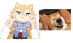  1girl animal animal_ears blonde_hair blue_eyes cheek_squash dog dog_ears hair_between_eyes hands_on_another&#039;s_wrists jong_tu looking_at_viewer multicolored_hair original photo-referenced reference_photo reference_photo_inset scarf shiba_inu shiba_squish short_hair simple_background solo_focus two-tone_hair upper_body white_background white_hair 