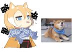  1girl :p animal animal_ears blonde_hair blue_eyes chinese dog dog_ears hair_between_eyes jong_tu multicolored_hair original photo-referenced reference_photo reference_photo_inset scarf shiba_inu short_hair simple_background solo tongue tongue_out translated two-tone_hair upper_body white_background white_hair 