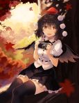  1girl autumn autumn_leaves black_hair black_legwear black_neckwear black_ribbon black_skirt black_wings breasts camera commentary_request eyebrows_visible_through_hair feathered_wings feet_out_of_frame forest frills hair_between_eyes hat highres holding holding_camera looking_at_viewer medium_breasts miniskirt nature neck_ribbon open_mouth outdoors petticoat pom_pom_(clothes) puffy_short_sleeves puffy_sleeves red_eyes ribbon rin_falcon shameimaru_aya shirt short_hair short_sleeves sitting skirt smile solo sun tassel thigh-highs tokin_hat touhou white_shirt wings zettai_ryouiki 