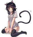  1girl amekaze_yukinatsu animal_ears bangs black_hair black_legwear brown_eyes cat_ears cat_girl cat_tail fang full_body grey_shirt highres looking_at_viewer no_pants open_mouth original panties pink_panties shirt short_sleeves sidelocks simple_background sitting smile solo tail thigh-highs underwear wariza white_background 