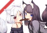  2girls absurdres animal_ears bangs bare_shoulders black_hair blue_eyes blush chocolate chocolate_bar eyebrows_visible_through_hair fang food_in_mouth fox_ears fox_tail hair_ornament hairclip heart highres hood hood_down hoodie long_hair looking_at_viewer mayogii mouth_hold multiple_girls off_shoulder original red_eyes shared_food short_hair signature smile tail upper_body valentine white_background white_hair 