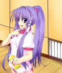  buruma clannad fujibayashi_kyou gym_uniform long_hair momo_(higanbana_and_girl) ponytail purple_eyes purple_hair violet_eyes 