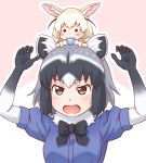  2girls :3 :o animal_ears arms_up black_neckwear blonde_hair blush_stickers bow bowtie brown_eyes chibi chibi_on_head commentary_request common_raccoon_(kemono_friends) crumbs eating fennec_(kemono_friends) food fox_ears fur_collar grey_hair highres japari_bun kemono_friends multicolored_hair multiple_girls outline raccoon_ears short_hair short_sleeves simple_background takatsuki_nao upper_body white_hair white_outline 