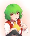  1girl ascot bangs collared_shirt eyebrows_visible_through_hair foreshortening green_hair hair_between_eyes hands_up highres kazami_yuuka ldl_(bcw1025) long_sleeves looking_at_viewer open_mouth plaid plaid_vest pointing pointing_at_viewer pov red_eyes red_vest shirt short_hair solo_focus touhou tsurime vest white_shirt wing_collar yellow_neckwear 