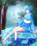  1girl adapted_costume afloat bangs bare_legs barefoot blue_eyes blue_hair blue_kimono breasts cirno closed_mouth collarbone day eyebrows_visible_through_hair floating floating_object forest full_moon ice ice_cube japanese_clothes kimono light_particles looking_at_viewer medium_breasts moon muko_(kokia38) nature obi outdoors reflection sash see-through shoes short_hair sitting smile soaking_feet solo sparkle swamp touhou tree water 