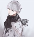  1boy erm_(doubledream) grey_eyes grey_hair highres looking_at_viewer male_focus narukami_yuu persona persona_4 scarf short_hair smile solo winter_clothes 