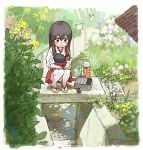  1girl akagi_(kantai_collection) bag blush_stickers border butterfly commentary_request flower hakama_skirt kantai_collection long_hair looking_down plant scenery shijukara_(great_tit) squatting tasuki thermos thigh-highs white_legwear younger zouri 