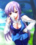  1girl :p bare_shoulders blue_sky blush breasts bridge brown_eyes city cleavage day earrings gundam gundam_zz highres jewelry long_hair medium_breasts nzack ocean one_eye_closed outdoors pantyhose park path pocket purple_hair road roux_louka sky smile solo tongue tongue_out tree water 