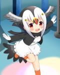  1girl :d atlantic_puffin_(kemono_friends) bangs bird_tail black_hair black_jacket black_scarf blush breasts commentary commentary_request eyebrows_visible_through_hair feathered_wings frilled_skirt frills gloves grey_wings hair_between_eyes head_wings highres jacket kemono_friends kneehighs long_sleeves looking_at_viewer medium_breasts multicolored_hair open_clothes open_jacket open_mouth orange_footwear orange_legwear outstretched_arms red_eyes scarf shin01571 shirt shoes sidelocks skirt smile solo spread_arms standing standing_on_one_leg upper_teeth white_gloves white_hair white_shirt white_skirt wings 