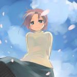  blush cherry_blossoms from_below ikeda_jun looking_down original petals sakura_petals short_hair sky smile sweater 