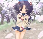  blue_eyes blue_hair book cherry_blossoms clannad ichinose_kotomi long_hair petals school_uniform skirt_lift tree tsukimiya_tsukimi wind_lift 