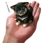  animal dog hands holding pixiv puppy shiba_inu simple_background toriny translated white_background 