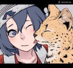  1girl animal animalization blue_eyes blue_hair cheek_licking closed_eyes commentary dated face face_licking grey_background hair_between_eyes hat highres kaban_(kemono_friends) kemono_friends letterboxed licking nanakusa_kayu one_eye_closed red_shirt serval serval_(kemono_friends) shirt short_hair simple_background wavy_mouth white_hat 