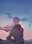  alternate_costume androgynous antarcticite blue_eyes blue_sky blurry blurry_background coat contemporary hands_in_pockets highres houseki_no_kuni looking_away scarf scenery short_hair silver_hair sky smile solo tamomoko white_eyes white_hair 