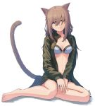  1girl amekaze_yukinatsu animal_ears barefoot bikini blue_bikini blush breasts brown_hair cat_ears cat_tail green_eyes hair_over_face hands_together head_tilt highres jacket looking_at_viewer navel original signature simple_background sitting smile solo swimsuit tail 