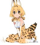  1girl animal_ears between_legs blonde_hair blush body_blush bow bowtie commentary_request elbow_gloves gloves hand_between_legs high-waist_skirt kemono_friends looking_at_viewer print_gloves print_skirt senjitsu_musou serval_(kemono_friends) serval_ears serval_print serval_tail shirt sitting skirt sleeveless sleeveless_shirt solo striped_tail tail v_arms wariza yellow_eyes 