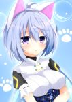  1girl ahoge animal_ears blue_eyes blue_hair blush breasts cat_ears character_request flower_knight_girl frills frown highres shironeko_haru short_hair solo 