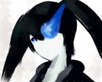  black_hair black_rock_shooter black_rock_shooter_(character) blue_eyes hako_(mypixid) hako_(pixiv448374) long_hair solo twintails 