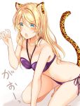  1girl :o ayase_eli barefoot bikini blonde_hair blush breasts claw_pose cleavage commentary_request fang gao hair_between_eyes hair_down halterneck kemonomimi_mode leopard_ears leopard_tail looking_at_viewer love_live! love_live!_school_idol_project medium_breasts midriff mogu_(au1127) navel purple_bikini side-tie_bikini solo squatting swimsuit v-shaped_eyebrows white_background 