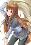  1girl animal_ears brown_hair eyebrows_visible_through_hair holding holo kirishima_itsuki long_hair looking_at_viewer pants pouch red_eyes simple_background smile solo spice_and_wolf tail wolf_ears wolf_tail 
