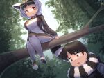  1boy 1girl animal_ears bangs black_hair branch breasts closed_mouth day eyewear_on_head grey_eyes grey_hair highres in_tree kemono_friends large_breasts lemur_ears lemur_tail long_sleeves looking_at_another medium_hair mo23 multicolored_hair open_mouth orange_eyes orange_hair outdoors pantyhose prehensile_tail ring-tailed_lemur_(kemono_friends) shirt shoe_soles shoes short_hair sitting sitting_in_tree skirt smile sunglasses tail tail_around_neck tail_wrap taut_clothes taut_shirt tree two-tone_hair 