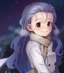  1girl blush breasts brown_eyes brown_scarf character_request closed_mouth coat commission copyright_request eyebrows_visible_through_hair grey_hair kamille_(vcx68) long_hair looking_at_viewer medium_breasts night night_sky outdoors scarf sky smile solo upper_body 