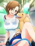  1girl angelo_(gomahangetsu) blush breasts brown_eyes brown_hair dog earrings hose idolmaster idolmaster_cinderella_girls jewelry large_breasts mizuki_seira open_mouth see-through shirt short_hair shorts smile wet white_shirt 