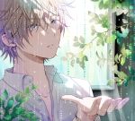  1boy blue_eyes brown_hair grey_hair hishi_(k-xaby) lavender_eyes original plant rain short_hair water_drop wet wet_hair window 