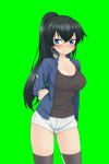  1girl arms_behind_back black_hair blue_eyes bound bound_arms breasts cleavage green_background jacket large_breasts looking_at_viewer shirt shorts socks t-shirt zee_(zee_sub) 