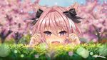  1boy :d animal_ears astolfo_(fate) bangs black_bow blue_sky blurry blurry_background blush bow cat_ears catboy cherry_blossoms commentary commission day depth_of_field eyebrows_visible_through_hair eyelashes face fang fate/apocrypha fate_(series) fingernails flower grass hair_bow hair_intakes half-closed_eyes hands_up happy highres light_particles long_hair looking_at_viewer male_focus multicolored_hair open_mouth outdoors paw_pose petals pink_hair raised_eyebrows shiny shiny_hair signature sky smile solo streaked_hair trap tree two-tone_hair violet_eyes white_hair wobblekun yellow_flower 