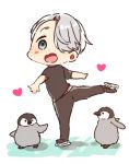  1boy bird blue_eyes hair_over_one_eye heart ice_skates kyouna male_focus open_mouth penguin silver_hair skates smile standing standing_on_one_leg viktor_nikiforov yuri!!!_on_ice 