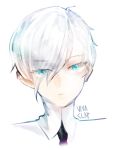  androgynous antarcticite artist_name blue_eyes dong_hyun_lee eyes_visible_through_hair face hair_over_one_eye highres houseki_no_kuni looking_at_viewer necktie short_hair signature solo vivaclap white_background white_hair 
