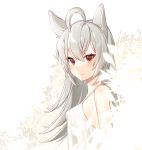  1girl ahoge animal_ears bangs bare_shoulders blush breasts cat_ears closed_mouth copyright_request dress fang fang_out from_side highres ia_(ias1010) long_hair looking_at_viewer looking_to_the_side partially_colored red_eyes shiny shiny_hair silver_hair simple_background sleeveless sleeveless_dress small_breasts smile solo straight_hair sundress tsurime upper_body white_background white_dress 