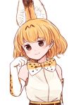  1girl animal_ears bare_shoulders batta_(ijigen_debris) blush brown_eyes closed_mouth commentary_request elbow_gloves eyebrows_visible_through_hair gloves grey_shirt hand_up highres kemono_friends looking_at_viewer orange_hair paw_pose serval_(kemono_friends) serval_ears serval_print shirt simple_background sleeveless sleeveless_shirt smile solo upper_body white_background 