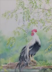  animal_focus bird chicken highres looking_at_viewer looking_to_the_side miyuchan777 no_humans original painting_(medium) plant rooster traditional_media tree very_long_tail watercolor_(medium) 
